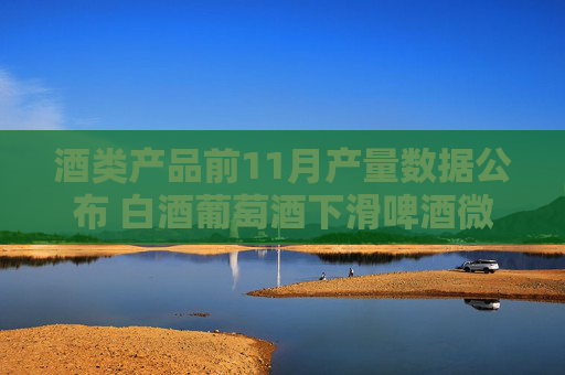 酒类产品前11月产量数据公布 白酒葡萄酒下滑啤酒微增