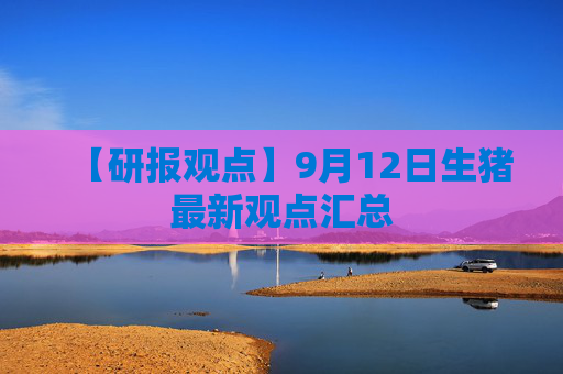 【研报观点】9月12日生猪最新观点汇总