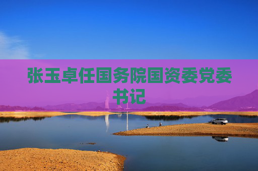 张玉卓任国务院国资委党委书记