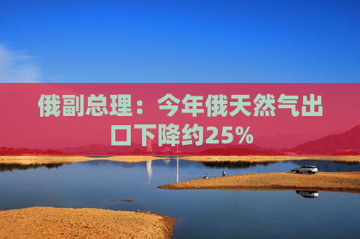 俄副总理：今年俄天然气出口下降约25%