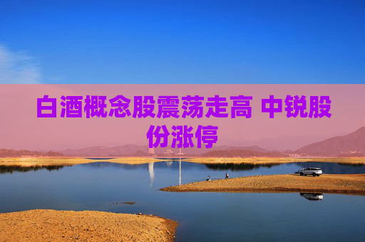 白酒概念股震荡走高 中锐股份涨停