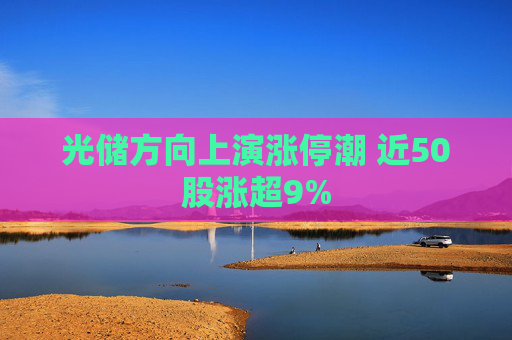 光储方向上演涨停潮 近50股涨超9%