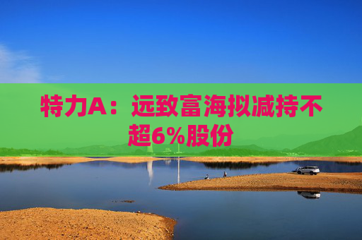 特力A：远致富海拟减持不超6%股份