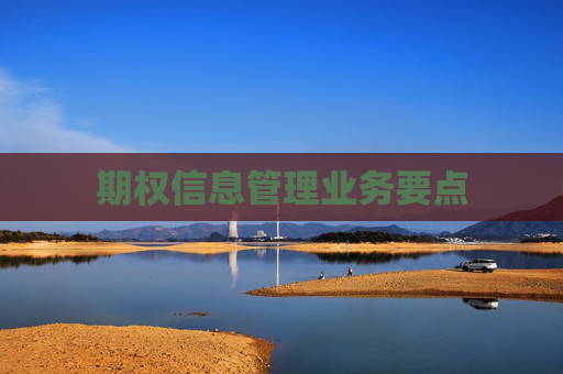 期权信息管理业务要点