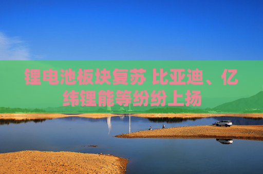 锂电池板块复苏 比亚迪、亿纬锂能等纷纷上扬
