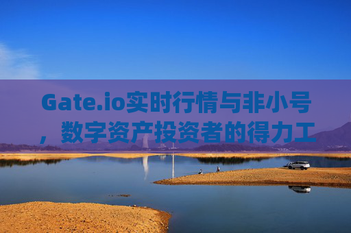 Gate.io实时行情与非小号，数字资产投资者的得力工具 gate.io实时行情非小号