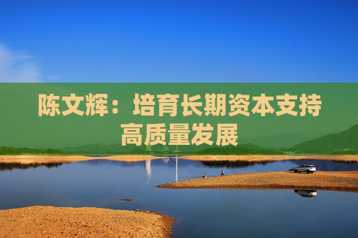 陈文辉：培育长期资本支持高质量发展