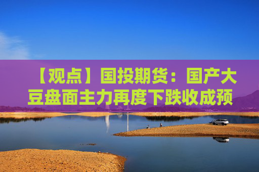 【观点】国投期货：国产大豆盘面主力再度下跌收成预期向好