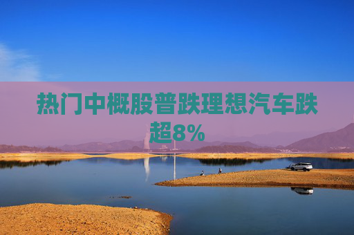 热门中概股普跌理想汽车跌超8%