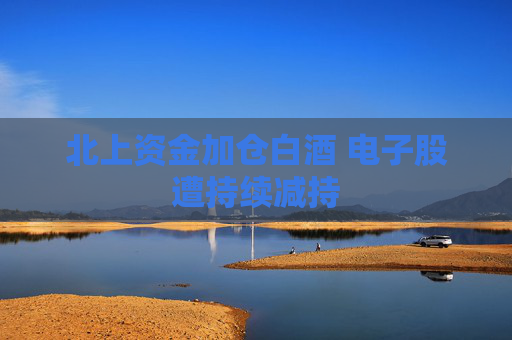 北上资金加仓白酒 电子股遭持续减持