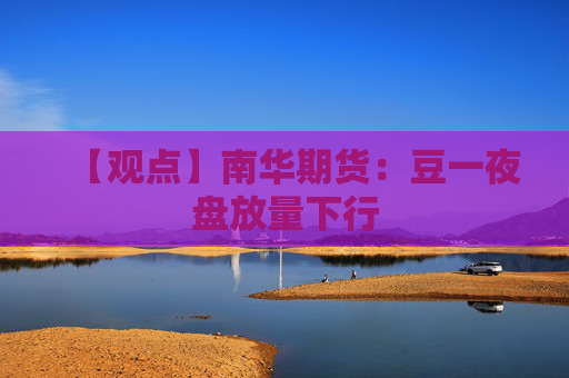 【观点】南华期货：豆一夜盘放量下行