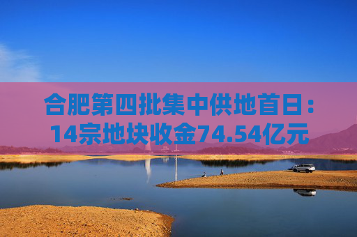 合肥第四批集中供地首日：14宗地块收金74.54亿元
