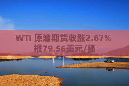 WTI 原油期货收涨2.67% 报79.56美元/桶