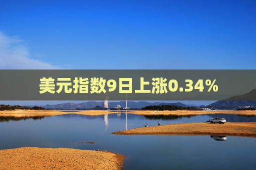 美元指数9日上涨0.34%