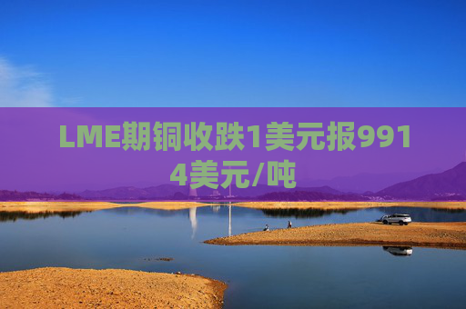 LME期铜收跌1美元报9914美元/吨