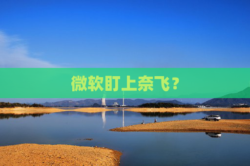 微软盯上奈飞？