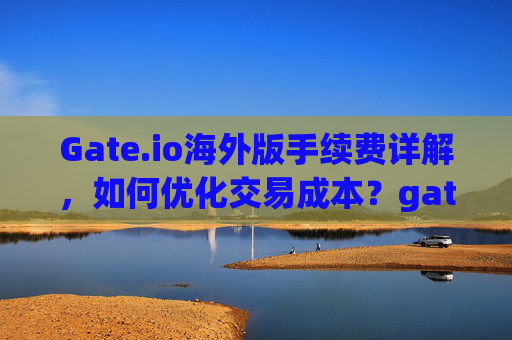 Gate.io海外版手续费详解，如何优化交易成本？gate.io海外版手续费