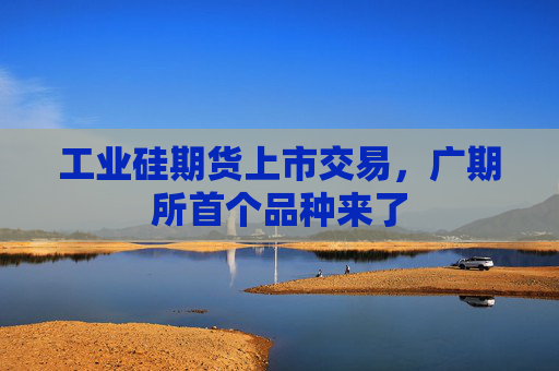 工业硅期货上市交易，广期所首个品种来了