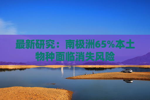 最新研究：南极洲65%本土物种面临消失风险