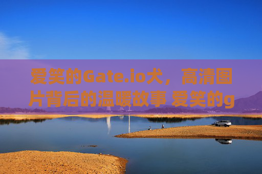 爱笑的Gate.io犬，高清图片背后的温暖故事 爱笑的gate.io犬图片高清