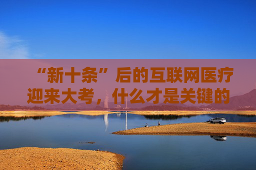 “新十条”后的互联网医疗迎来大考，什么才是关键的胜负手？