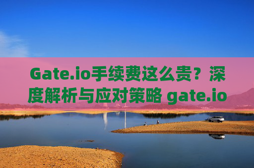 Gate.io手续费这么贵？深度解析与应对策略 gate.io手续费这么贵
