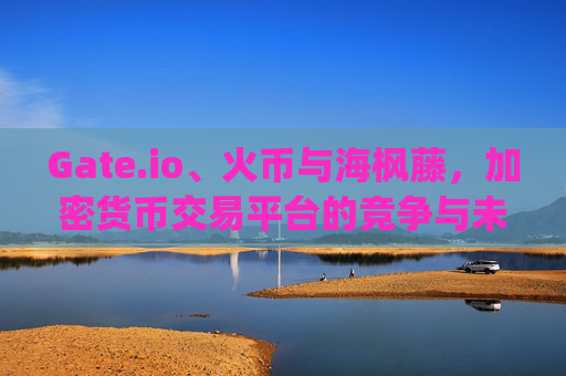 Gate.io、火币与海枫藤，加密货币交易平台的竞争与未来趋势 gate.io 火币 海枫藤