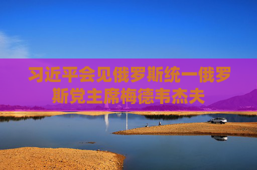 习近平会见俄罗斯统一俄罗斯党主席梅德韦杰夫
