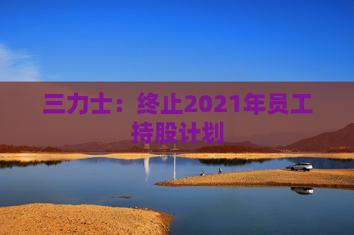 三力士：终止2021年员工持股计划
