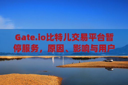 Gate.io比特儿交易平台暂停服务，原因、影响与用户应对策略 gateio比特儿交易平台暂停