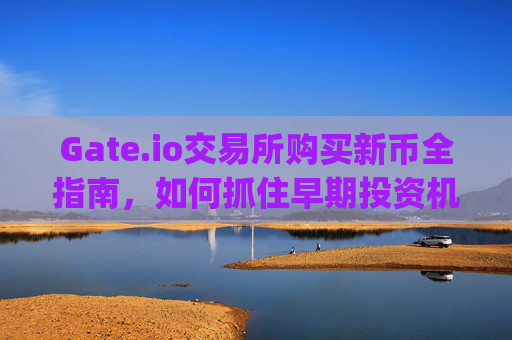 Gate.io交易所购买新币全指南，如何抓住早期投资机会 gateio交易所买新币