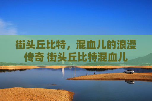 街头丘比特，混血儿的浪漫传奇 街头丘比特混血儿