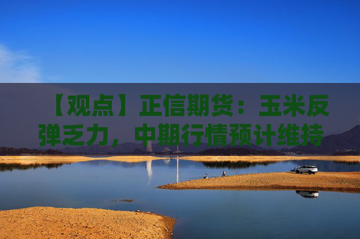 【观点】正信期货：玉米反弹乏力，中期行情预计维持弱势