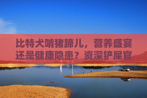 比特犬啃猪蹄儿，营养盛宴还是健康隐患？资深铲屎官的喂养指南 比特犬吃猪蹄儿