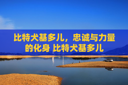 比特犬基多儿，忠诚与力量的化身 比特犬基多儿