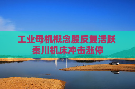 工业母机概念股反复活跃 秦川机床冲击涨停