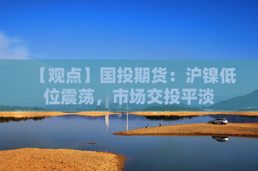 【观点】国投期货：沪镍低位震荡，市场交投平淡