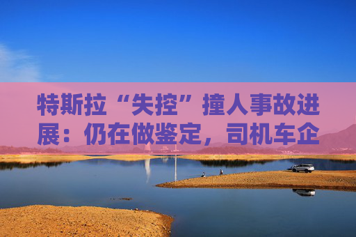 特斯拉“失控”撞人事故进展：仍在做鉴定，司机车企各执一词