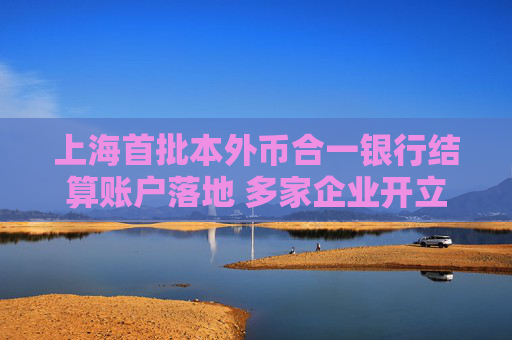 上海首批本外币合一银行结算账户落地 多家企业开立