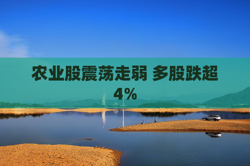 农业股震荡走弱 多股跌超4%