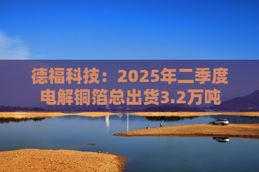 德福科技：2025年二季度电解铜箔总出货3.2万吨