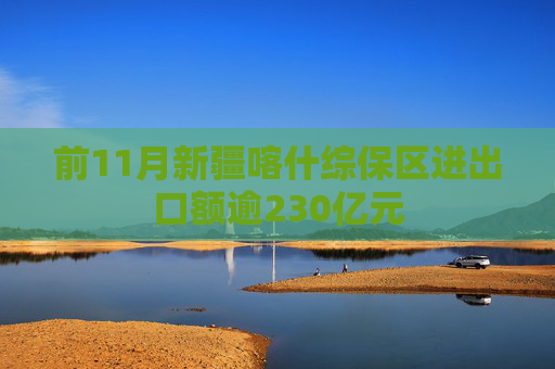 前11月新疆喀什综保区进出口额逾230亿元