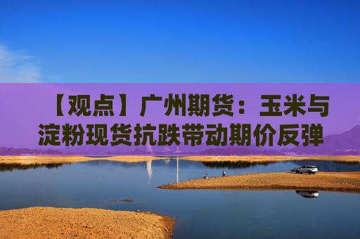【观点】广州期货：玉米与淀粉现货抗跌带动期价反弹
