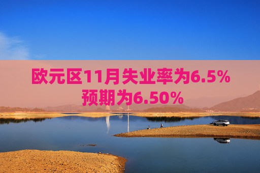 欧元区11月失业率为6.5% 预期为6.50%