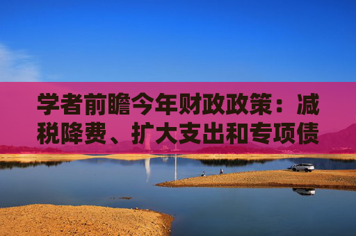 学者前瞻今年财政政策：减税降费、扩大支出和专项债
