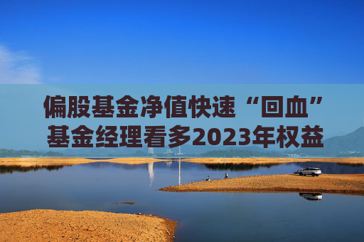 偏股基金净值快速“回血” 基金经理看多2023年权益资产