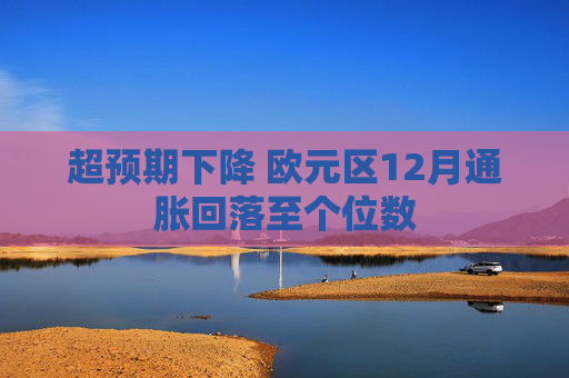 超预期下降 欧元区12月通胀回落至个位数