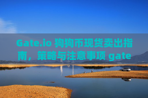 Gate.io 狗狗币现货卖出指南，策略与注意事项 gate.io狗狗币现货卖出