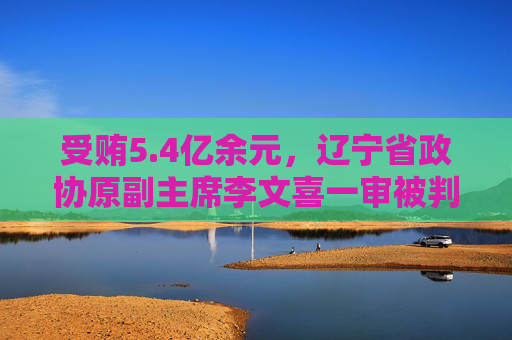 受贿5.4亿余元，辽宁省政协原副主席李文喜一审被判死缓