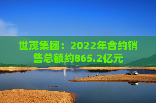 世茂集团：2022年合约销售总额约865.2亿元
